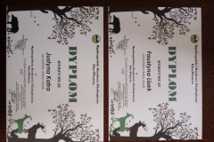 Dyplomy-najlepszych-uczniów