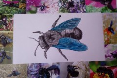 Zdjęcie-5-z-albumu-Justyny-Katry