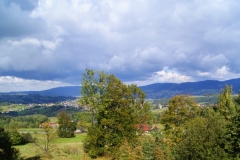 SONY DSC