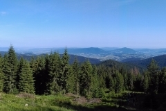 IMAG4323