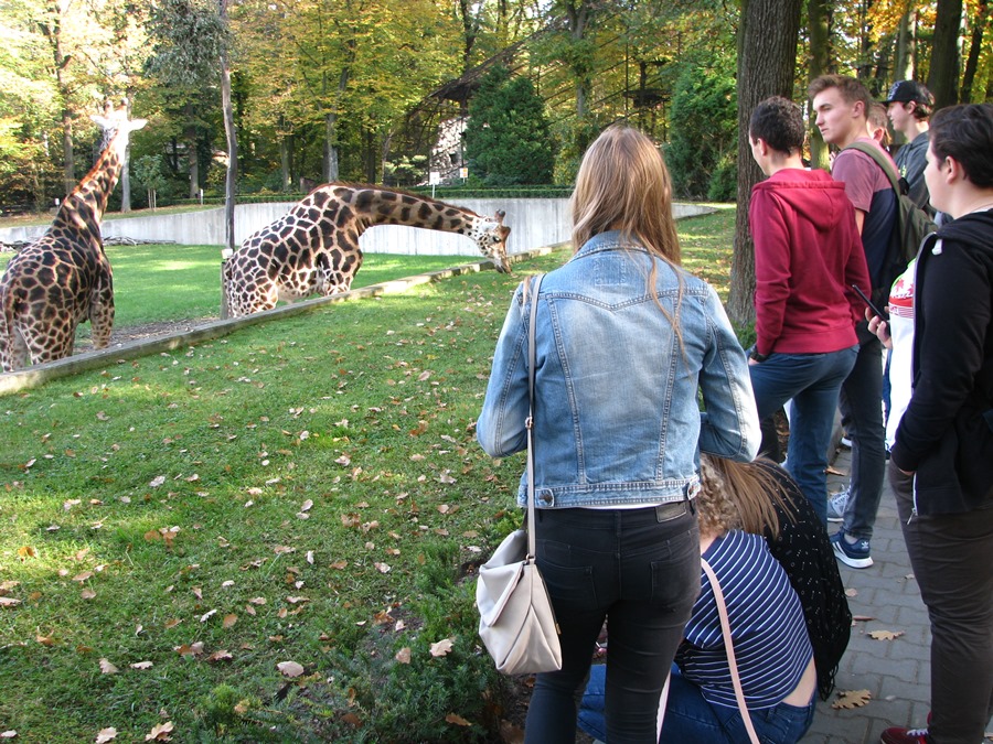 Wycieczka zawodoznawcza do ZOO
