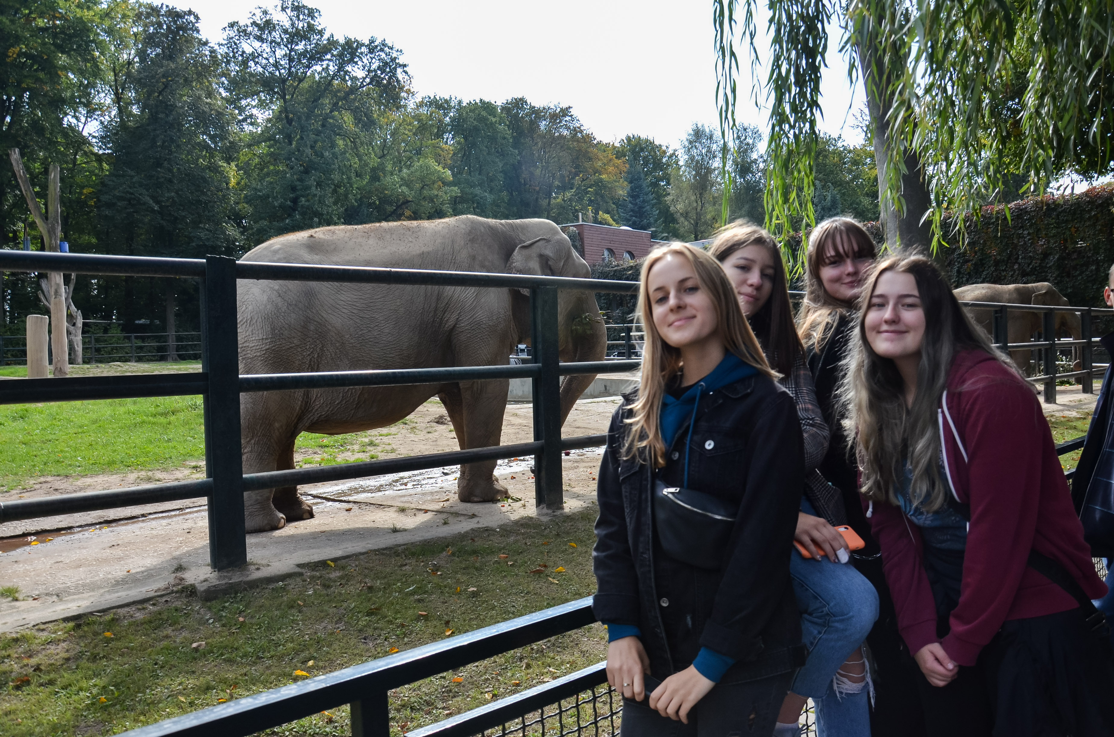 Wycieczka zawodoznawcza w Zoo