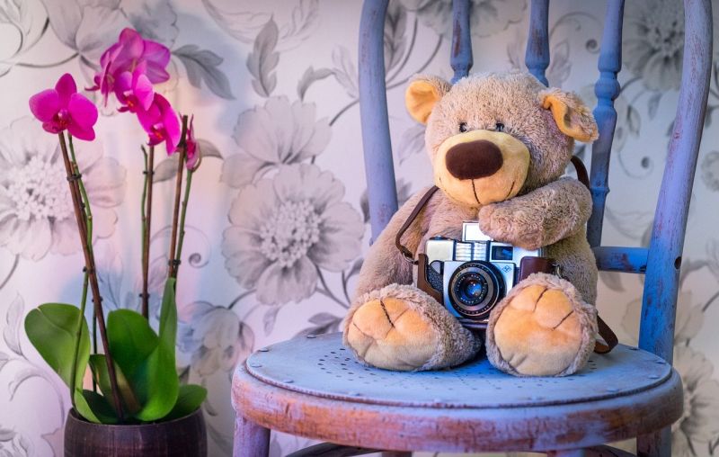 Konkurs fotograficzny: „Domowe zauczenie i zaczytanie”