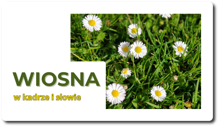 Wiosna w kadrze i słowie